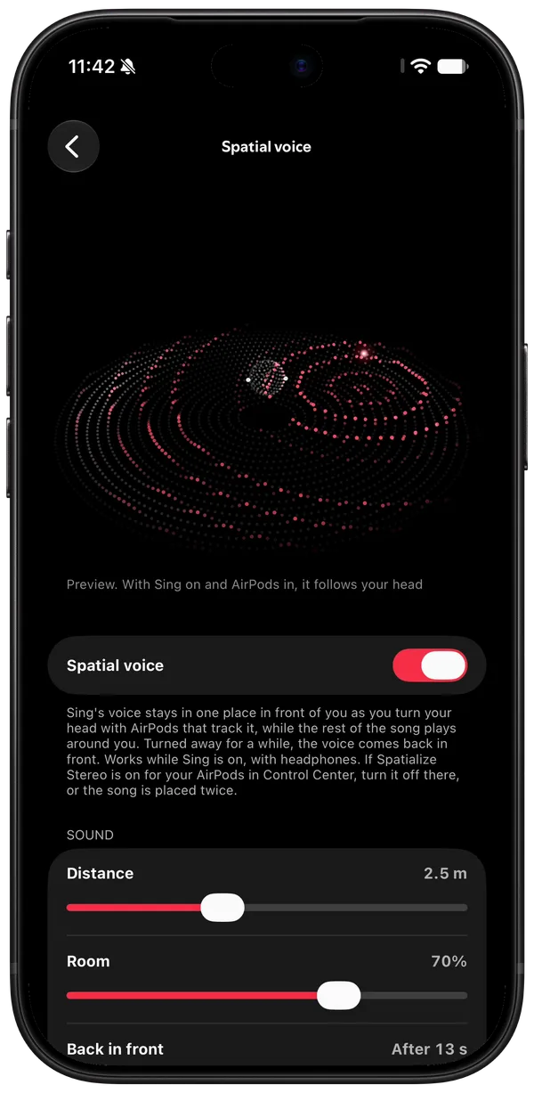 Spatial voice settings